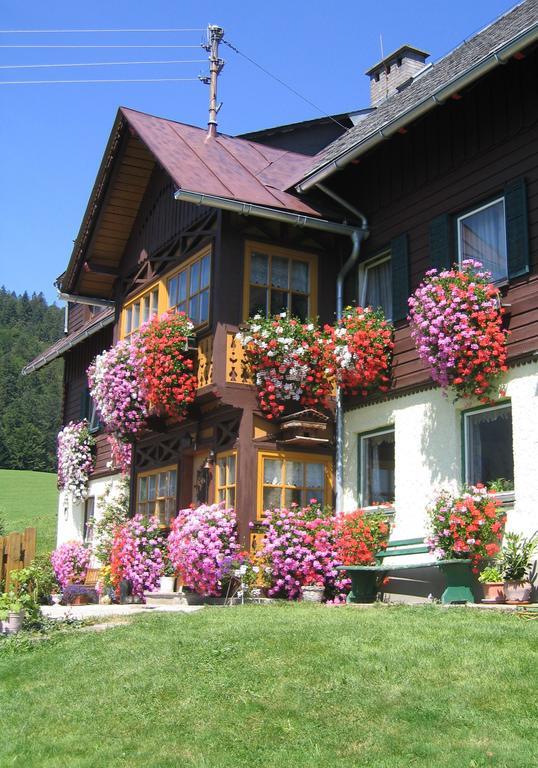 Bauernhof Haim-Schnepfleitner Pichl bei Aussee Kültér fotó