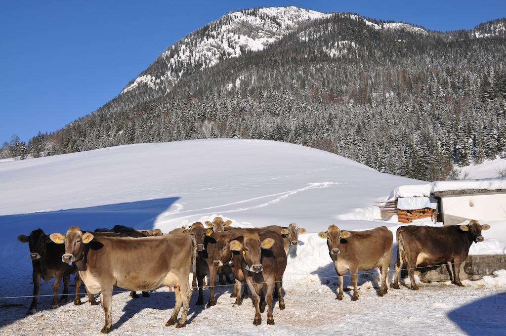 Bauernhof Haim-Schnepfleitner Pichl bei Aussee Kültér fotó