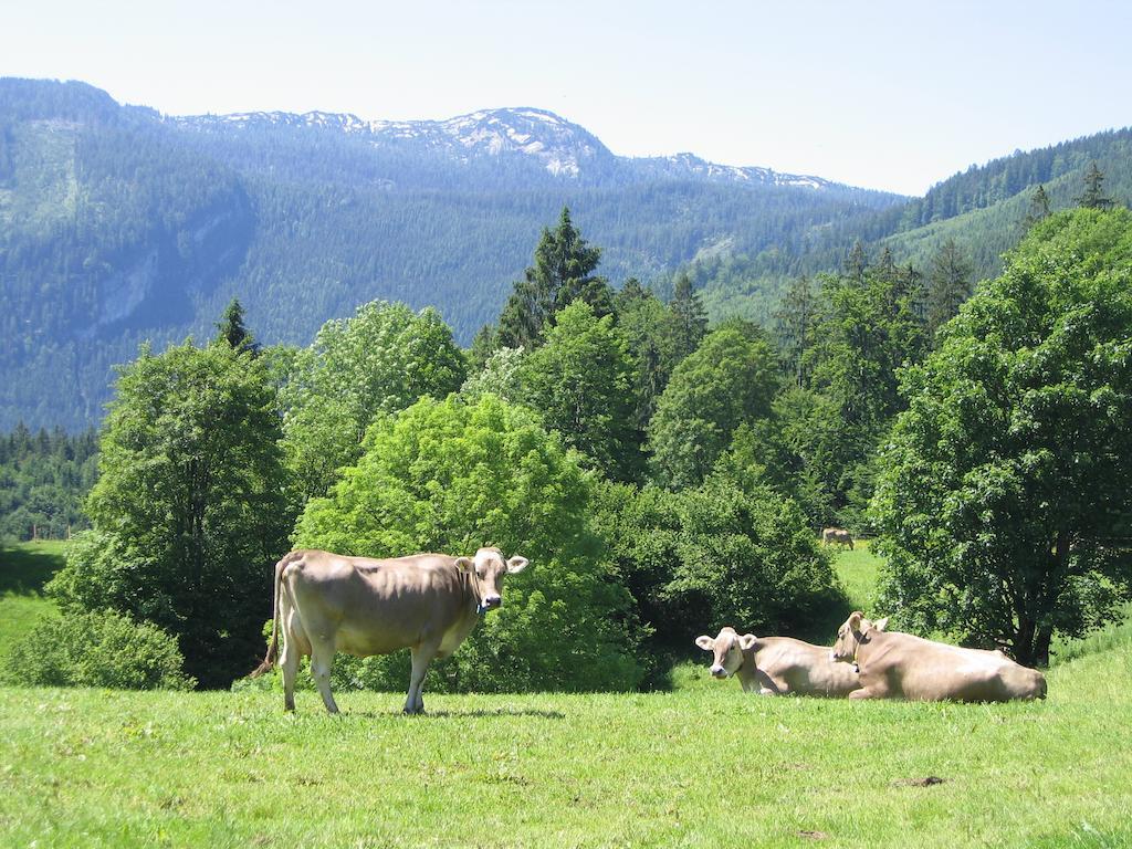 Bauernhof Haim-Schnepfleitner Pichl bei Aussee Kültér fotó