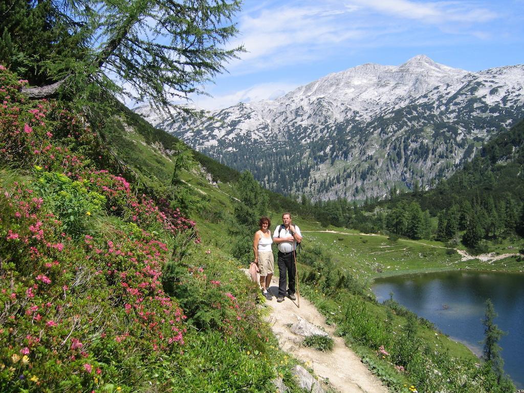 Bauernhof Haim-Schnepfleitner Pichl bei Aussee Kültér fotó