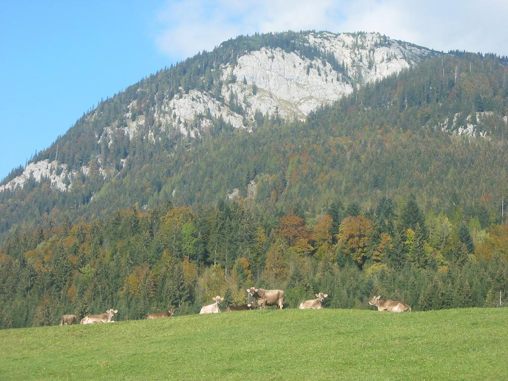 Bauernhof Haim-Schnepfleitner Pichl bei Aussee Kültér fotó